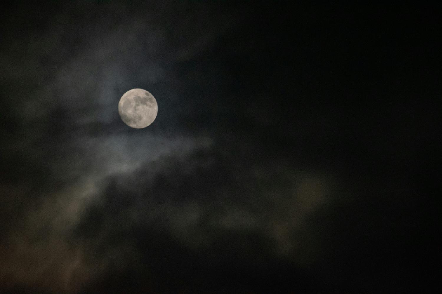 Full moon at night - Avery Cocozziello